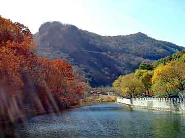 新澳门二四六天天彩，双氧水